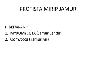 PROTISTA MIRIP JAMUR
DIBEDAKAN :
1. MYXOMYCOTA (Jamur Lendir)
2. Oomycota ( jamur Air)
 