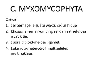 C. MYXOMYCOPHYTA
Ciri-ciri:
1. Sel berflagella-suatu waktu siklus hidup
2. Khusus jamur air-dinding sel dari zat selulosa
n zat kitin.
3. Spora diploid-meiosis=gamet
4. Eukariotik heterotrof, multiseluler,
multinukleus
 