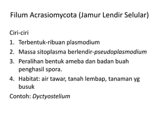Filum Acrasiomycota (Jamur Lendir Selular)
Ciri-ciri
1. Terbentuk-ribuan plasmodium
2. Massa sitoplasma berlendir-pseudoplasmodium
3. Peralihan bentuk ameba dan badan buah
penghasil spora.
4. Habitat: air tawar, tanah lembap, tanaman yg
busuk
Contoh: Dyctyostelium
 