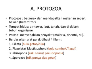 A. PROTOZOA
• Protozoa : bergerak dan mendapatkan makanan seperti
hewan (heterotrof)
• Tempat hidup: air tawar, laut, tanah, dan di dalam
tubuh organisme.
• Parasit: menyebabkan penyakit (malaria, disentri, dll).
• Berdasarkan alat gerak dibagi 4 filum :
1. Ciliata (bulu getar/cilia)
2. Flagelata/ Mastigophora (bulu cambuk/flagel)
3. Rhizopoda (kaki semu/ pseudopodia)
4. Sporozoa (tdk punya alat gerak)
 