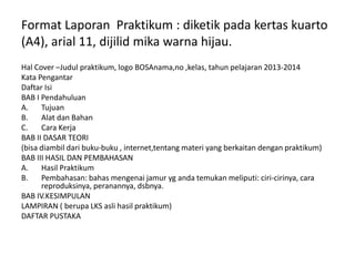 Format Laporan Praktikum : diketik pada kertas kuarto
(A4), arial 11, dijilid mika warna hijau.
Hal Cover –Judul praktikum, logo BOSAnama,no ,kelas, tahun pelajaran 2013-2014
Kata Pengantar
Daftar Isi
BAB I Pendahuluan
A. Tujuan
B. Alat dan Bahan
C. Cara Kerja
BAB II DASAR TEORI
(bisa diambil dari buku-buku , internet,tentang materi yang berkaitan dengan praktikum)
BAB III HASIL DAN PEMBAHASAN
A. Hasil Praktikum
B. Pembahasan: bahas mengenai jamur yg anda temukan meliputi: ciri-cirinya, cara
reproduksinya, peranannya, dsbnya.
BAB IV.KESIMPULAN
LAMPIRAN ( berupa LKS asli hasil praktikum)
DAFTAR PUSTAKA
 