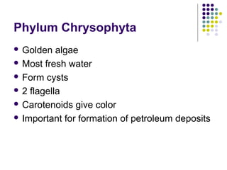 Phylum Chrysophyta
 Golden algae
 Most fresh water
 Form cysts
 2 flagella
 Carotenoids give color
 Important for formation of petroleum deposits
 