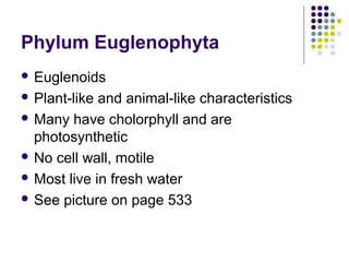 Phylum Euglenophyta
 Euglenoids
 Plant-like and animal-like characteristics
 Many have cholorphyll and are
photosynthetic
 No cell wall, motile
 Most live in fresh water
 See picture on page 533
 