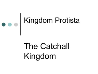 Kingdom Protista
The Catchall
Kingdom
 