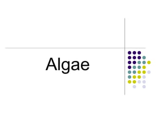 Algae
 