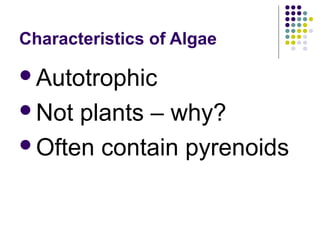 Characteristics of Algae
Autotrophic
Not plants – why?
Often contain pyrenoids
 