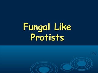 Fungal LikeFungal Like
ProtistsProtists
 