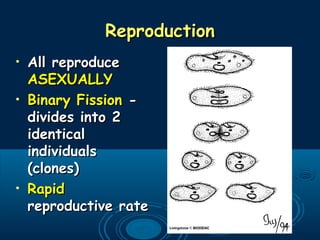 ReproductionReproduction
• All reproduceAll reproduce
ASEXUALLYASEXUALLY
• Binary FissionBinary Fission --
divides into 2divides into 2
identicalidentical
individualsindividuals
(clones)(clones)
• RapidRapid
reproductive ratereproductive rate
 