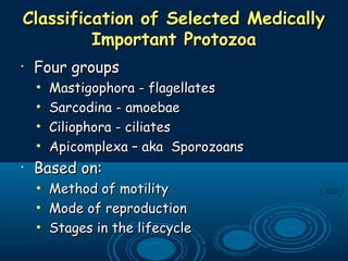 Classification of Selected MedicallyClassification of Selected Medically
Important ProtozoaImportant Protozoa
•
Four groupsFour groups
• Mastigophora - flagellatesMastigophora - flagellates
• Sarcodina - amoebaeSarcodina - amoebae
• Ciliophora - ciliatesCiliophora - ciliates
• Apicomplexa – aka SporozoansApicomplexa – aka Sporozoans
•
Based on:Based on:
• Method of motilityMethod of motility
• Mode of reproductionMode of reproduction
• Stages in the lifecycleStages in the lifecycle
 