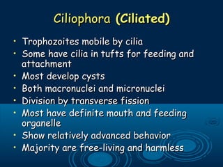 CiliophoraCiliophora (Ciliated)(Ciliated)
• Trophozoites mobile by ciliaTrophozoites mobile by cilia
• Some have cilia in tufts for feeding andSome have cilia in tufts for feeding and
attachmentattachment
• Most develop cystsMost develop cysts
• Both macronuclei and micronucleiBoth macronuclei and micronuclei
• Division by transverse fissionDivision by transverse fission
• Most have definite mouth and feedingMost have definite mouth and feeding
organelleorganelle
• Show relatively advanced behaviorShow relatively advanced behavior
• Majority are free-living and harmlessMajority are free-living and harmless
 