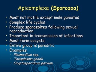 ApicomplexaApicomplexa (Sporozoa)(Sporozoa)
• Most not motile except male gametesMost not motile except male gametes
• Complex life cyclesComplex life cycles
• ProduceProduce sporozoitessporozoites following sexualfollowing sexual
reproductionreproduction
• Important in transmission of infectionsImportant in transmission of infections
• Most form oocystsMost form oocysts
• Entire group is parasiticEntire group is parasitic
• ExamplesExamples
•
PlasmodiumPlasmodium sppspp..
•
Toxoplasma gondiiToxoplasma gondii
•
Cryptosporidium parvumCryptosporidium parvum
 