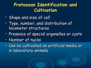 Protozoan Identification andProtozoan Identification and
CultivationCultivation
• Shape and size of cellShape and size of cell
• Type, number, and distribution ofType, number, and distribution of
locomotor structureslocomotor structures
• Presence of special organelles or cystsPresence of special organelles or cysts
• Number of nucleiNumber of nuclei
• Can be cultivated on artificial media orCan be cultivated on artificial media or
in laboratory animalsin laboratory animals
 