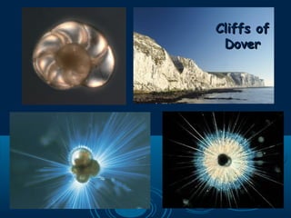 Cliffs ofCliffs of
DoverDover
 