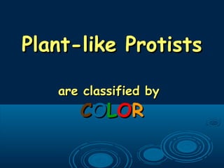 Plant-like ProtistsPlant-like Protists
are classified byare classified by
CCOOLLOORR
 