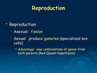 Reproduction
Reproduction
• Reproduction
Reproduction
•
Asexual:
Asexual: fission
fission
•
Sexual: produce
Sexual: produce gametes
gametes (specialized sex
(specialized sex
cells)
cells)
• Advantage: new combinations of genes
Advantage: new combinations of genes from
from
both parents (Red Queen Hypothesis)
both parents (Red Queen Hypothesis)
 