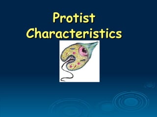 Protist
Protist
Characteristics
Characteristics
 