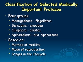 Classification of Selected Medically
Classification of Selected Medically
Important Protozoa
Important Protozoa
•
Four groups
Four groups
• Mastigophora - flagellates
Mastigophora - flagellates
• Sarcodina - amoebae
Sarcodina - amoebae
• Ciliophora - ciliates
Ciliophora - ciliates
• Apicomplexa – aka Sporozoans
Apicomplexa – aka Sporozoans
•
Based on:
Based on:
• Method of motility
Method of motility
• Mode of reproduction
Mode of reproduction
• Stages in the lifecycle
Stages in the lifecycle
 