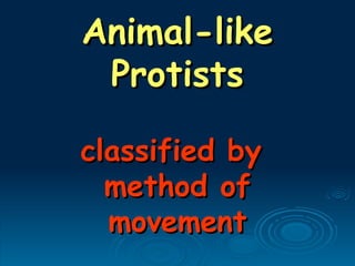 Animal-like
Animal-like
Protists
Protists
classified by
classified by
method of
method of
movement
movement
 
