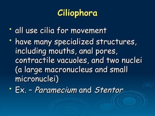 Ciliophora
Ciliophora
• all use cilia for movement
all use cilia for movement
• have many specialized structures,
have many specialized structures,
including mouths, anal pores,
including mouths, anal pores,
contractile vacuoles, and two nuclei
contractile vacuoles, and two nuclei
(a large macronucleus and small
(a large macronucleus and small
micronuclei)
micronuclei)
• Ex. –
Ex. – Paramecium
Paramecium and
and Stentor
Stentor
 