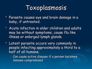 Toxoplasmosis
Toxoplasmosis
• Parasite causes eye and brain damage in a
Parasite causes eye and brain damage in a
baby, if untreated.
baby, if untreated.
• Acute infection in older children and adults
Acute infection in older children and adults
may be without symptoms, cause flu like
may be without symptoms, cause flu like
illness or enlarged lymph glands.
illness or enlarged lymph glands.
• Latent parasite occurs very commonly in
Latent parasite occurs very commonly in
people infecting approximately a third to a
people infecting approximately a third to a
half of all humans.
half of all humans.
•
Can cause active disease if a person becomes
Can cause active disease if a person becomes
immune compromised
immune compromised
 