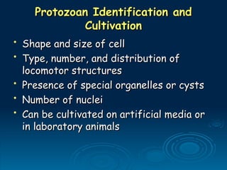 Protozoan Identification and
Protozoan Identification and
Cultivation
Cultivation
• Shape and size of cell
Shape and size of cell
• Type, number, and distribution of
Type, number, and distribution of
locomotor structures
locomotor structures
• Presence of special organelles or cysts
Presence of special organelles or cysts
• Number of nuclei
Number of nuclei
• Can be cultivated on artificial media or
Can be cultivated on artificial media or
in laboratory animals
in laboratory animals
 