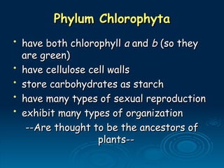 Phylum Chlorophyta
Phylum Chlorophyta
• have both chlorophyll
have both chlorophyll a
a and
and b
b (so they
(so they
are green)
are green)
• have cellulose cell walls
have cellulose cell walls
• store carbohydrates as starch
store carbohydrates as starch
• have many types of sexual reproduction
have many types of sexual reproduction
• exhibit many types of organization
exhibit many types of organization
--Are thought to be the ancestors of
--Are thought to be the ancestors of
plants--
plants--
 