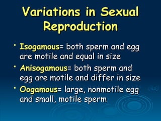 Variations in Sexual
Variations in Sexual
Reproduction
Reproduction
• Isogamous
Isogamous= both sperm and egg
= both sperm and egg
are motile and equal in size
are motile and equal in size
• Anisogamous
Anisogamous= both sperm and
= both sperm and
egg are motile and differ in size
egg are motile and differ in size
• Oogamous
Oogamous= large, nonmotile egg
= large, nonmotile egg
and small, motile sperm
and small, motile sperm
 