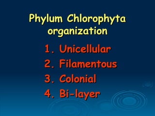 Phylum Chlorophyta
Phylum Chlorophyta
organization
organization
1. Unicellular
1. Unicellular
2. Filamentous
2. Filamentous
3. Colonial
3. Colonial
4. Bi-layer
4. Bi-layer
 