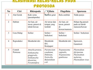 Protozoa yang bergerak dengan kaki semu adalah