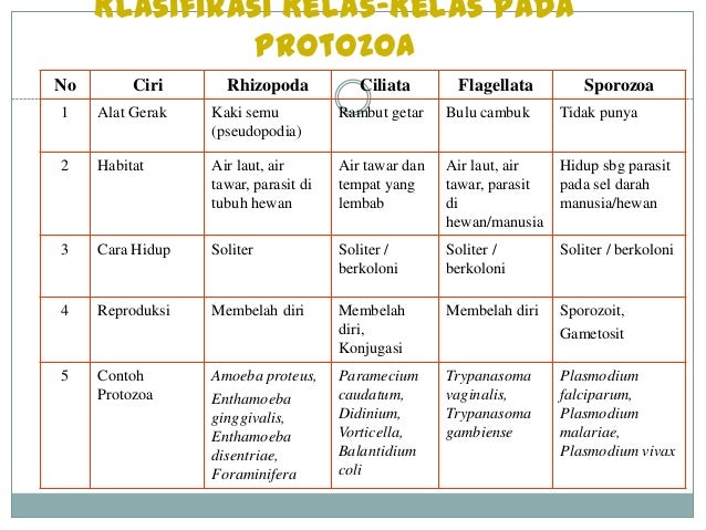 KLASIFIKASI SPOROZOA PDF DOWNLOAD KLASIFIKASI SPOROZOA PDF DOWNLOAD