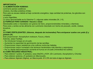 IMPORTANCIA 1) ALIMENTACIÓN HUMANA: Laminaria (países asiáticos) Undaria, Durvillea antártica (Chile). Pero esto es escaso debido al bajo contenido energético, baja cantidad de proteínas, los glúcidos son complejos y poco digeribles. Lo único aprovechable es la Vitamina C y algunas sales minerales (N, I, K). 2) FORRAJE PARA GANADO: Vacuno o lanar. Dándoseles solos o mezclados con granos de heno, proporcionándoles minerales y vitaminas. Para aves y cerdos se les alimenta con  Laminaria mezclada con harina de pescado, aceite, melaza, levadura, etc. 3) COMO FERTILIZANTES: (Abonos, después de incinerados) Para enriquecer suelos con yodo (I) y potasio (K). Esto proporcionan:  Ascophyllum nodosum, Fucus y Alaria. Además, estas Feofitas: –  No introducen hongos en el suelo. –  Aumentan la capacidad de germinación de las semillas. –  Proporcionan mayor resistencia a los cultivos contra las heladas. –  Proporcionan mayor humedad a los terrenos haciéndolos más blandos y esponjosos. –  Por su rápida descomposición aumenta el humus en el suelo (mineraliza los suelos). 4) COMO RECURSO INDUSTRIAL: –  Para obtener I (yodo), K (potasio), sosa (NaOH) y KOH. (En  Laminaria, Ascophyllum y Chorda). –  Para obtener acetona y K (potasio) en  Macrocystis. –  Para obtener  Alginato (Algina), en Macrocystis. El 2,5% de toda el alga es Alginato. 