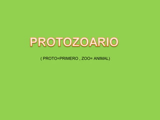 ( PROTO=PRIMERO , ZOO= ANIMAL) 