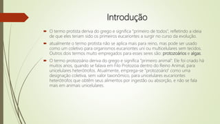 Introdução
 O termo protista deriva do grego e significa “primeiro de todos”, refletindo a ideia
de que eles teriam sido os primeiros eucariontes a surgir no curso da evolução.
 atualmente o termo protista não se aplica mais para reino, mas pode ser usado
como um coletivo para organismos eucariontes uni ou multicelulares sem tecidos.
Outros dois termos muito empregados para esses seres são: protozoários e algas.
 O termo protozoário deriva do grego e significa “primeiro animal”. Ele foi criado há
muitos anos, quando se falava em Filo Protozoa dentro do Reino Animal, para
unicelulares heterótrofos. Atualmente, emprega-se “protozoário” como uma
designação coletiva, sem valor taxonômico, para unicelulares eucariontes
heterótrofos que obtêm seus alimentos por ingestão ou absorção, e não se fala
mais em animais unicelulares.
 