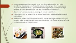  O termo alga também é empregado como uma designação coletiva, sem valor
taxonômico. São algas os seres fotossintetizantes oxígenos que vivem em ambiente
aquático ou terrestre úmido e que não apresentam organização complexa do corpo,
podendo ser uni ou multicelulares, mas sem formar tecidos diferenciados.
 são importantes na produção do gás oxigênio para os ecossistemas.
 constituem a base da alimentação de animais aquáticos, e algumas espécies de algas
multicelulares
 são também utilizadas na alimentação humana, caso da nori (alga vermelha usada para
enrolar o sushi), da wakame (alga parda usada em sopas) e da kombu (alga parda usada
em pratos como arroz e leguminosas).
 
