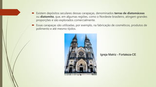  Existem depósitos seculares dessas carapaças, denominados terras de diatomáceas
ou diatomito, que, em algumas regiões, como o Nordeste brasileiro, atingem grandes
proporções e são explorados comercialmente.
 Essas carapaças são utilizadas, por exemplo, na fabricação de cosméticos, produtos de
polimento e até mesmo tijolos.
Igreja Matriz - Fortaleza-CE
 