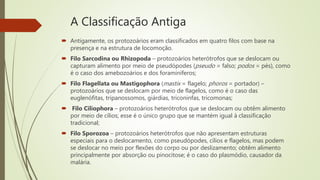 A Classificação Antiga
 Antigamente, os protozoários eram classificados em quatro filos com base na
presença e na estrutura de locomoção.
 Filo Sarcodina ou Rhizopoda – protozoários heterótrofos que se deslocam ou
capturam alimento por meio de pseudópodes (pseudo = falso; podos = pés), como
é o caso dos amebozoários e dos foraminíferos;
 Filo Flagellata ou Mastigophora (mastix = flagelo; phoros = portador) –
protozoários que se deslocam por meio de flagelos, como é o caso das
euglenófitas, tripanossomos, giárdias, triconinfas, tricomonas;
 Filo Ciliophora – protozoários heterótrofos que se deslocam ou obtêm alimento
por meio de cílios; esse é o único grupo que se mantém igual à classificação
tradicional;
 Filo Sporozoa – protozoários heterótrofos que não apresentam estruturas
especiais para o deslocamento, como pseudópodes, cílios e flagelos, mas podem
se deslocar no meio por flexões do corpo ou por deslizamento; obtêm alimento
principalmente por absorção ou pinocitose; é o caso do plasmódio, causador da
malária.
 