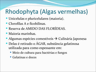 Rhodophyta (Algas vermelhas)
 Unicelulas e pluricelulares (maioria).
 Clorofilas A e ficobilinas.
 Reserva de AMIDO DAS FLORÍDEAS.
 Maioria marinhas.
 Algumas espécies comestíveis  Culinária Japonesa
 Delas é retirado o ÁGAR, substância gelatinosa
 utilizada para como espessante em:
   Meio de cultura para bactérias e fungos
   Gelatinas e doces
 