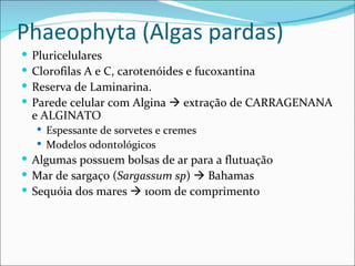 Phaeophyta (Algas pardas)
   Pluricelulares
   Clorofilas A e C, carotenóides e fucoxantina
   Reserva de Laminarina.
   Parede celular com Algina  extração de CARRAGENANA
    e ALGINATO
     Espessante de sorvetes e cremes
     Modelos odontológicos
 Algumas possuem bolsas de ar para a flutuação
 Mar de sargaço (Sargassum sp)  Bahamas
 Sequóia dos mares  100m de comprimento
 