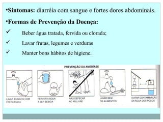 •Sintomas: diarréia com sangue e fortes dores abdominais.
•Formas de Prevenção da Doença:
 Beber água tratada, fervida ou clorada;
 Lavar frutas, legumes e verduras
 Manter bons hábitos de higiene.
 