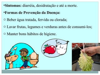 •Sintomas: diarréia, desidratação e até a morte.
•Formas de Prevenção da Doença:
o Beber água tratada, fervida ou clorada;
o Lavar frutas, legumes e verduras antes de consumi-los;
o Manter bons hábitos de higiene.
 