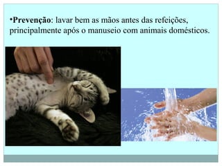 •Prevenção: lavar bem as mãos antes das refeições,
principalmente após o manuseio com animais domésticos.
 