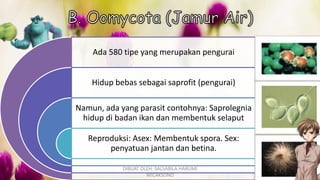Ada 580 tipe yang merupakan pengurai
Hidup bebas sebagai saprofit (pengurai)
Namun, ada yang parasit contohnya: Saprolegnia
hidup di badan ikan dan membentuk selaput
Reproduksi: Asex: Membentuk spora. Sex:
penyatuan jantan dan betina.
DIBUAT OLEH: SALSABILA HARUMI
WICAKSONO
 