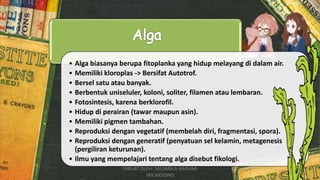 • Alga biasanya berupa fitoplanka yang hidup melayang di dalam air.
• Memiliki kloroplas -> Bersifat Autotrof.
• Bersel satu atau banyak.
• Berbentuk uniseluler, koloni, soliter, filamen atau lembaran.
• Fotosintesis, karena berklorofil.
• Hidup di perairan (tawar maupun asin).
• Memiliki pigmen tambahan.
• Reproduksi dengan vegetatif (membelah diri, fragmentasi, spora).
• Reproduksi dengan generatif (penyatuan sel kelamin, metagenesis
(pergiliran keturunan).
• Ilmu yang mempelajari tentang alga disebut fikologi.
DIBUAT OLEH: SALSABILA HARUMI
WICAKSONO
 