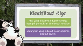 Alga yang biasanya hidup melayang-
layang di permukaan air disebut neutson.
Sedangkan yang hidup di dasar perairan
disebut bentik.
DIBUAT OLEH: SALSABILA HARUMI
WICAKSONO
 