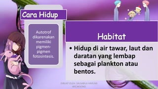 Autotrof
dikarenakan
memiliki
pigmen-
pigmen
fotosintesis.
• Hidup di air tawar, laut dan
daratan yang lembap
sebagai plankton atau
bentos.
DIBUAT OLEH: SALSABILA HARUMI
WICAKSONO
 