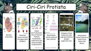 Ciri-Ciri Protista
Bersifat
Eukariotik
Respirasi
secara aerobik
(menggunakan
oksigen).
Dapat
bermultiseluler
atau uniseluler.
Protista
multiseluler:
sederhana dan
tanpa jaringan
terspesialisasi.
Berproduksi
secara aseksual
atau seksual.
Sebagian hidup
bebas dan ada
juga bersimbiosis
dengan
organisme lain.
Kebanyakan
hidup di perairan
seperti laut,
kolam dan
danau.
DIBUAT OLEH: SALSABILA HARUMI
WICAKSONO
 
