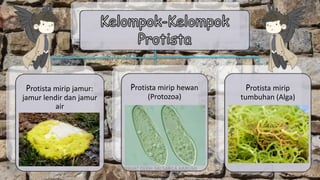 Protista mirip jamur:
jamur lendir dan jamur
air
Protista mirip hewan
(Protozoa)
Protista mirip
tumbuhan (Alga)
DIBUAT OLEH: SALSABILA HARUMI
WICAKSONO
 