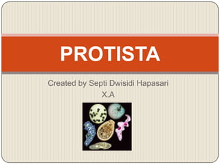 PROTISTA
Created by Septi Dwisidi Hapasari
              X.A
 