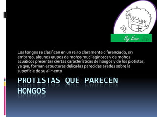 Protistas que parecen hongos Los hongos se clasifican en un reino claramente diferenciado, sin embargo, algunos grupos de mohos mucilaginosos y de mohos acuáticos presentan ciertas características de hongos y de los protistas, ya que, forman estructuras delicadas parecidas a redes sobre la superficie de su alimento 