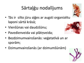 Sārtaļģu nodalījumsTās ir  silto jūru aļģes ar augsti organizētu laponi sārtā krāsā;Vienšūnas vai daudzšūnu; Pavedienveida vai plātņveida;Bezdzimumvairošanās: veģetatīvā un ar sporām;Dzimumvairošanās (ar dzimumšūnām)